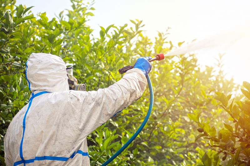 Fumigation Service in Toledo, OH