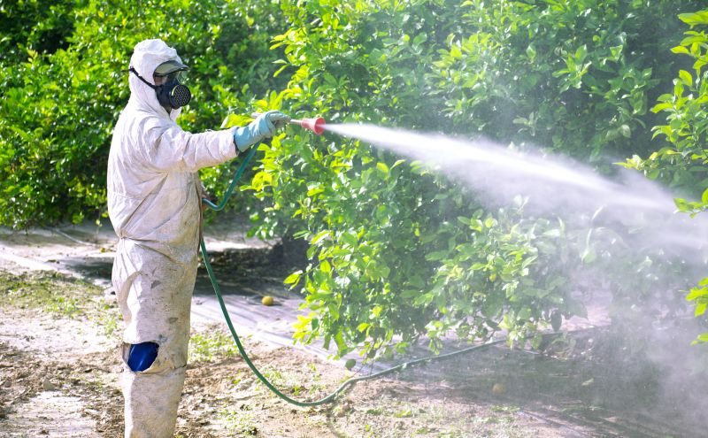 Fumigation Service in Fayetteville, NC