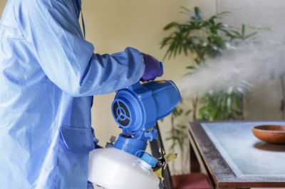 Pest Fumigation Service in Clarksville, TN