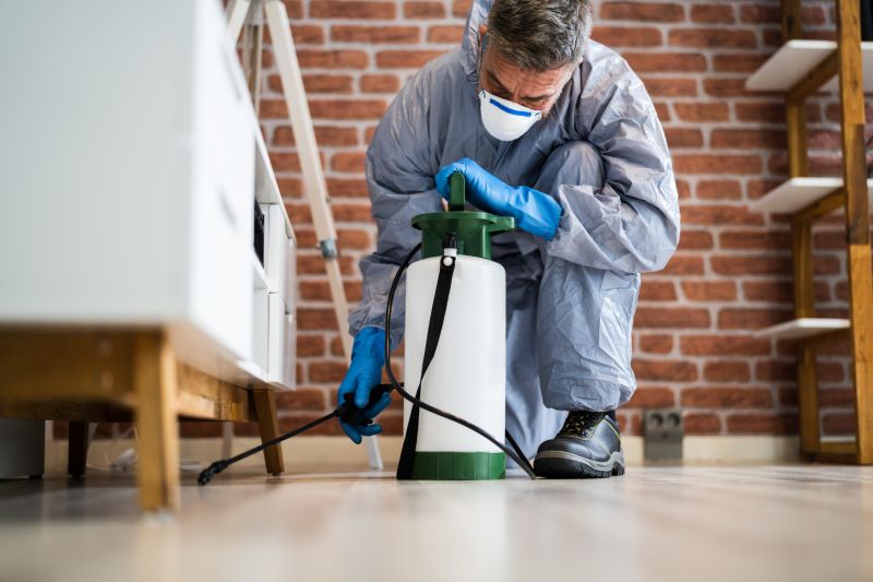 Flea Fumigation Cost — Cost of Flea Fumigation
