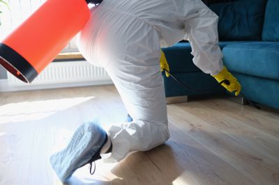 Flea Fumigation Cost — Cost of Flea Fumigation