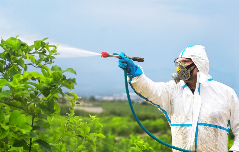 Fumigation Service in Franklin, TN