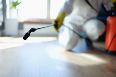 Pest Fumigation Service in Wilmington, DE