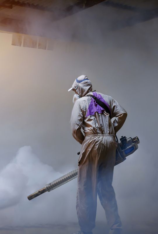 Rat Fumigation Service in Asheville, NC