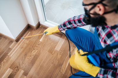 Spider Extermination Service in Rockwall, TX