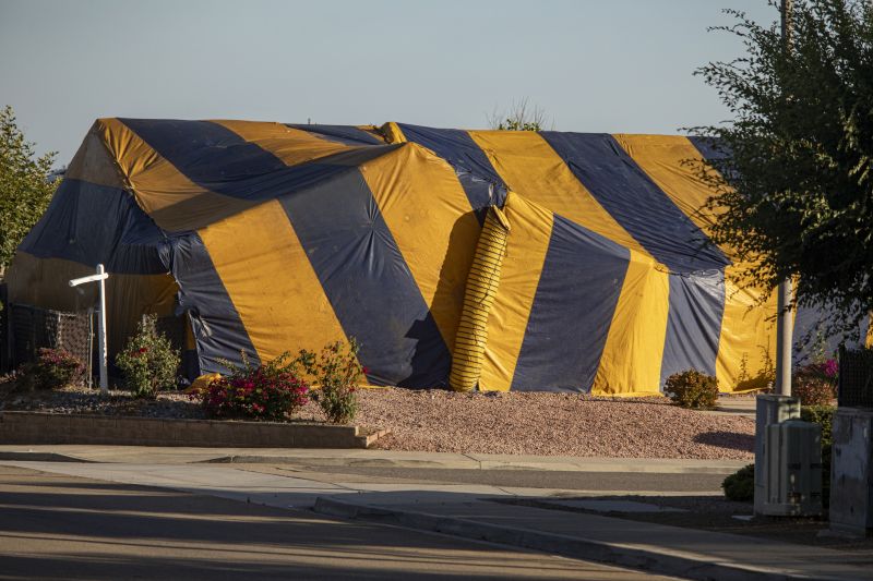 Termite Tenting in Santa Fe, NM