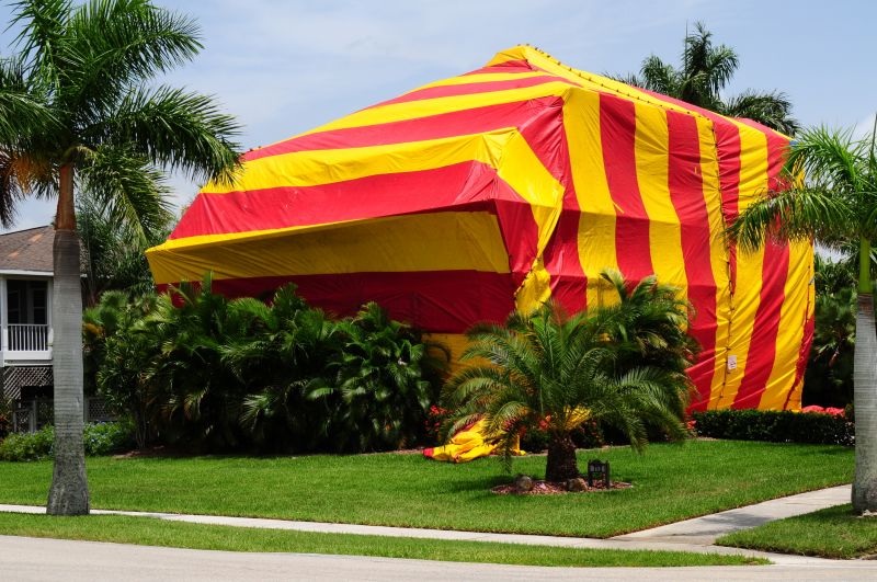 Termite Tenting in Wilmington, NC