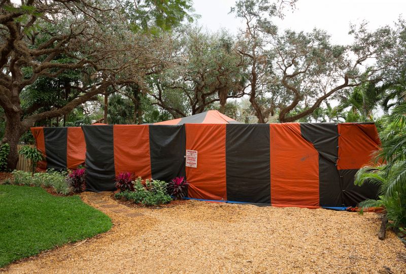 Termite Tenting in Tampa, FL